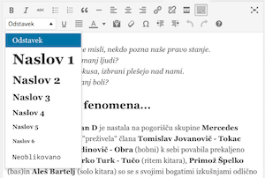 Pisanje za splet oblikovanje besedila 2